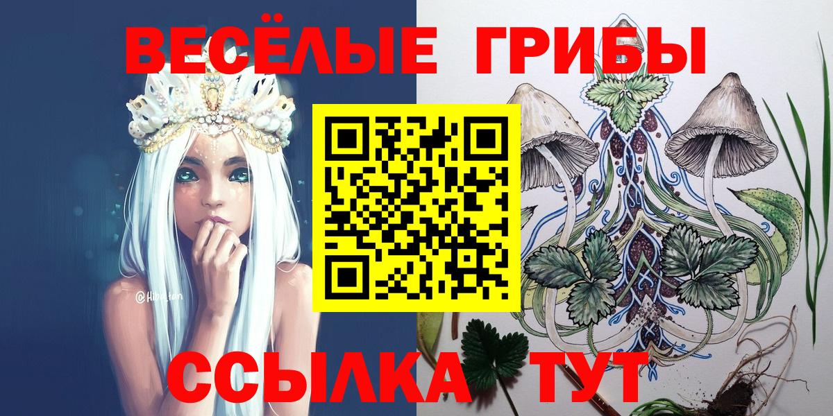 Галлюциногенные грибы Psilocybe Вязники